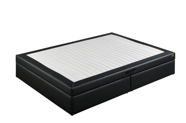 EVO 2 – Image 2
