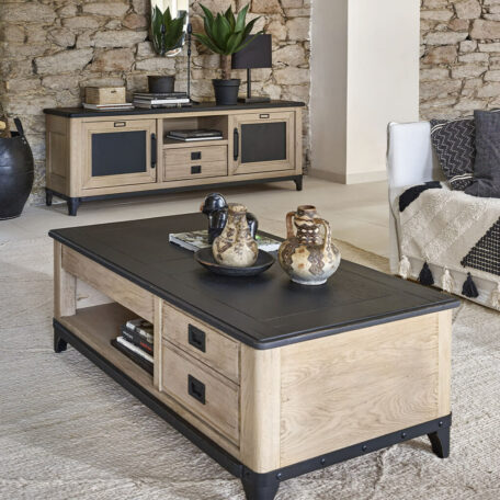 Meubles de salon : table basse et meuble TV collection INDUS